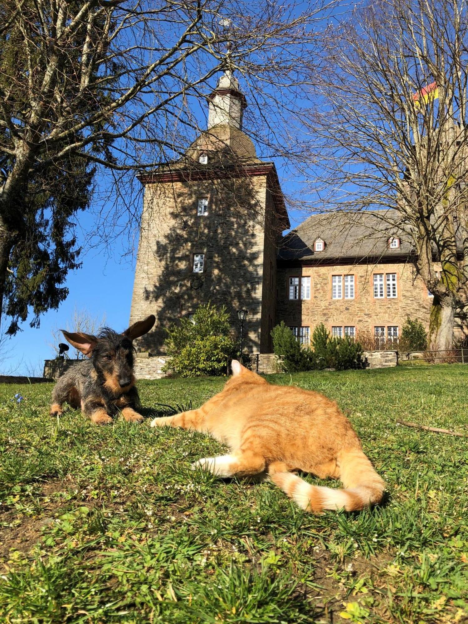 Hotel Und Restaurant Burg Schnellenberg Attendorn Kültér fotó